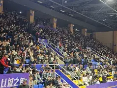 数据复盘：广东男篮首回合对阵达拉斯独行侠，樊振东效率值爆表的简单介绍